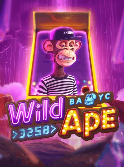 355bet